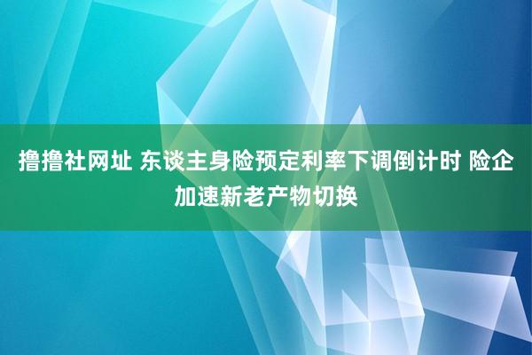 撸撸社网址 东谈主身险预定利率下调倒计时 险企加速新老产物切换